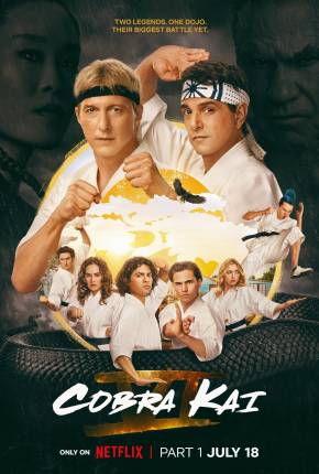 Baixar Cobra Kai - 6ª Temporada Dublada e Dual Áudio Grátis