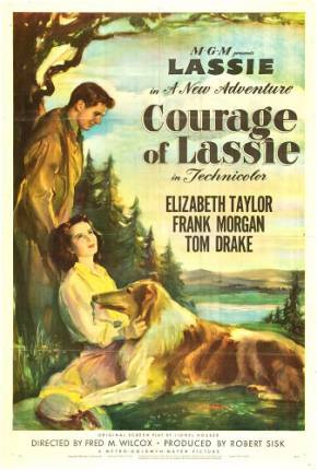 Baixar A Coragem de Lassie / Courage of Lassie Dublado Grátis